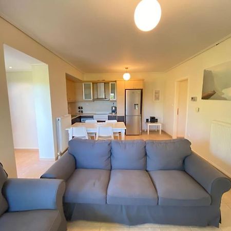 Cozy 2 Room Apartment With Garden Near Athens Air-Port Artemida  Dış mekan fotoğraf